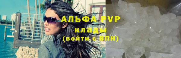 PSILOCYBIN Беломорск