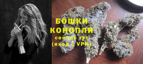 гидра Белокуриха