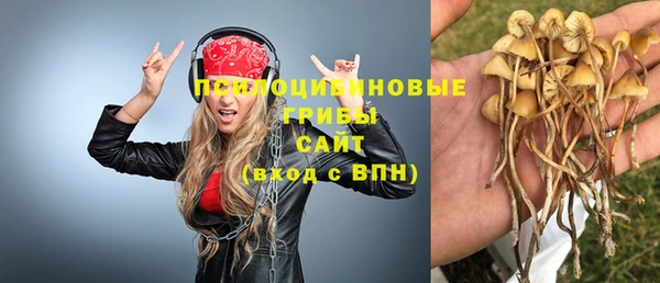 спиды Белоозёрский
