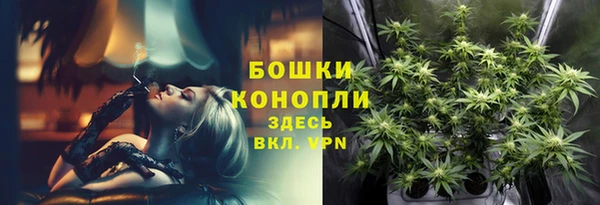 гидра Белокуриха