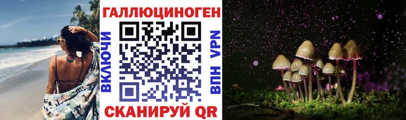 Псилоцибиновые грибы Cubensis  Боготол 