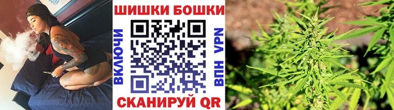 Бошки Шишки гибрид  Боготол 